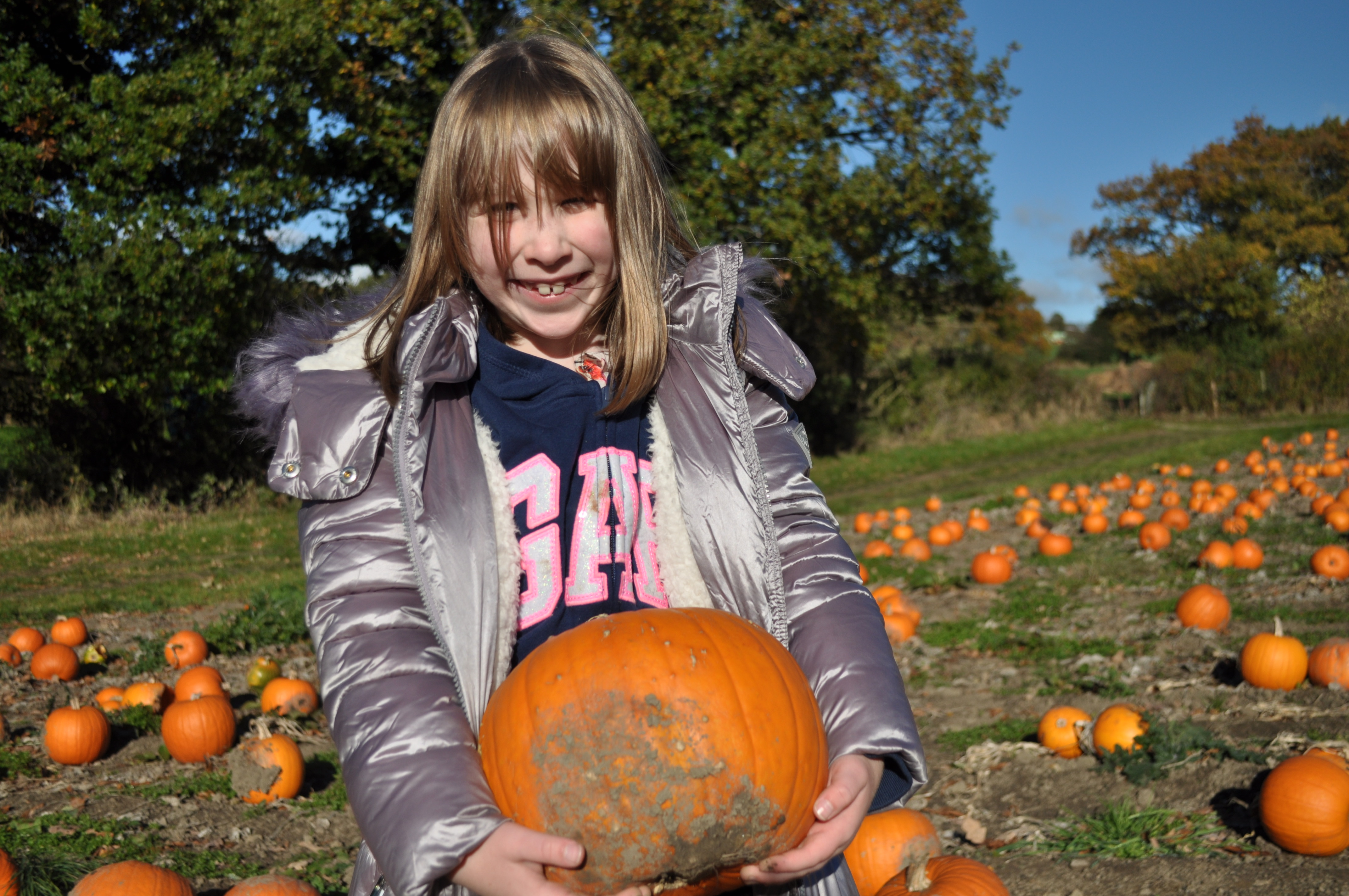 Pumpkin picking Halloween Leeds