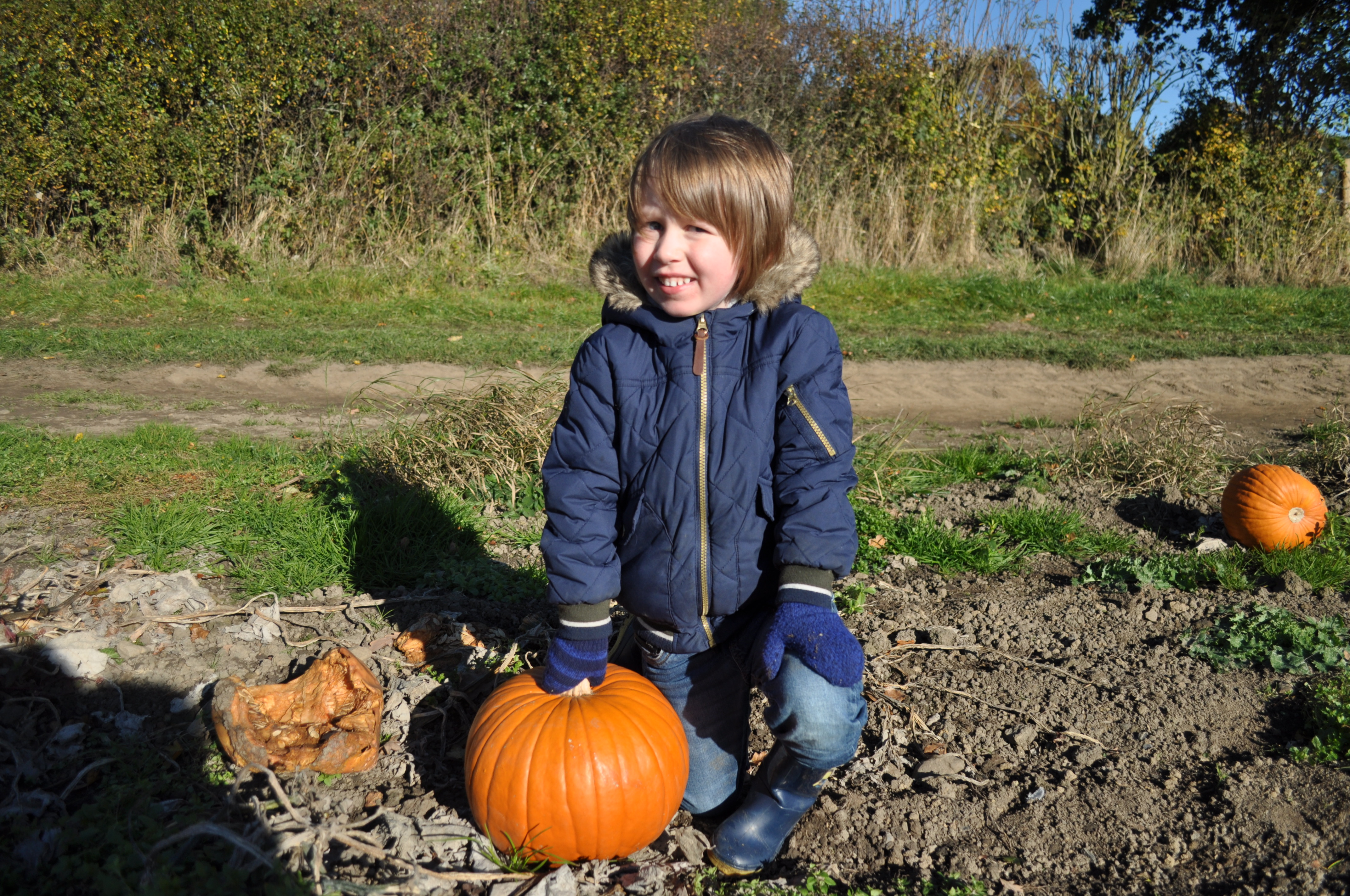Pumpkin picking Halloween Leeds